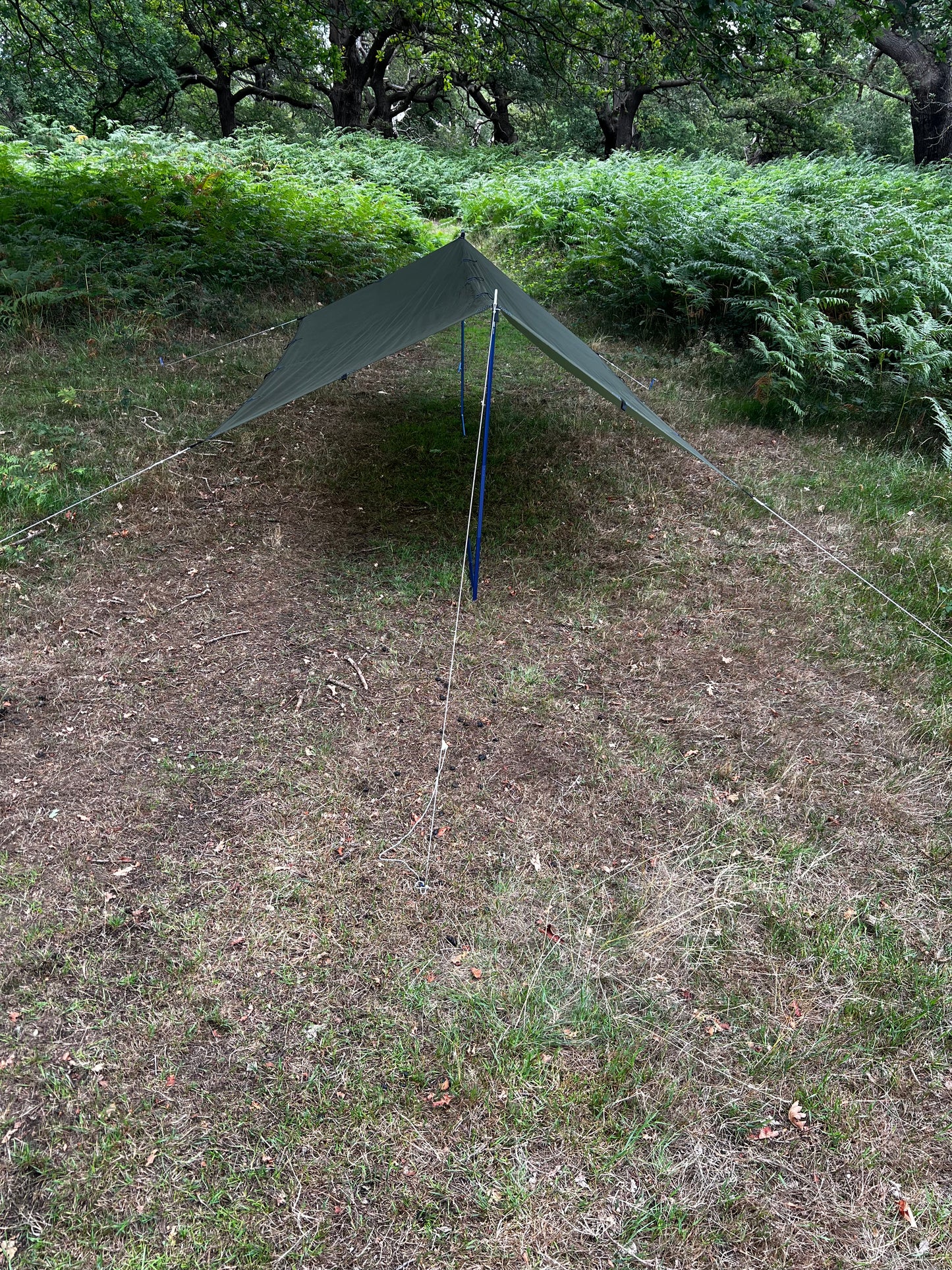 ADVenture Tarp Kit