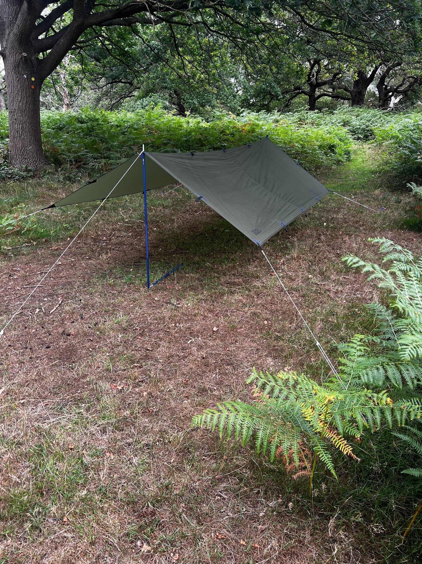 ADVenture Tarp Kit